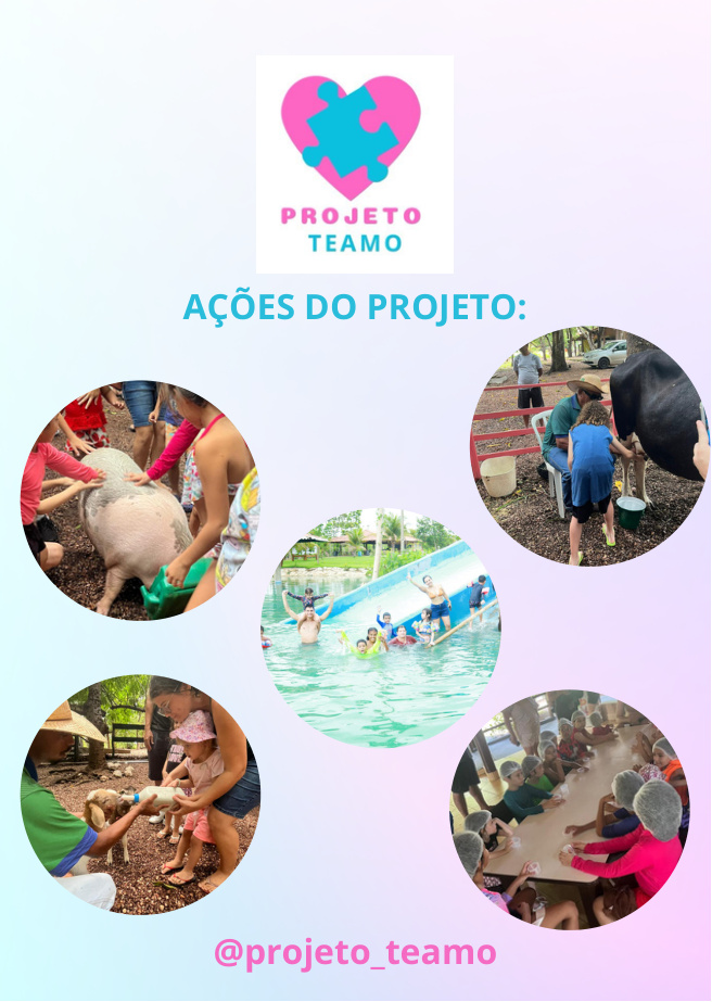 Página 7 da apresentação do Projeto TEAMO
