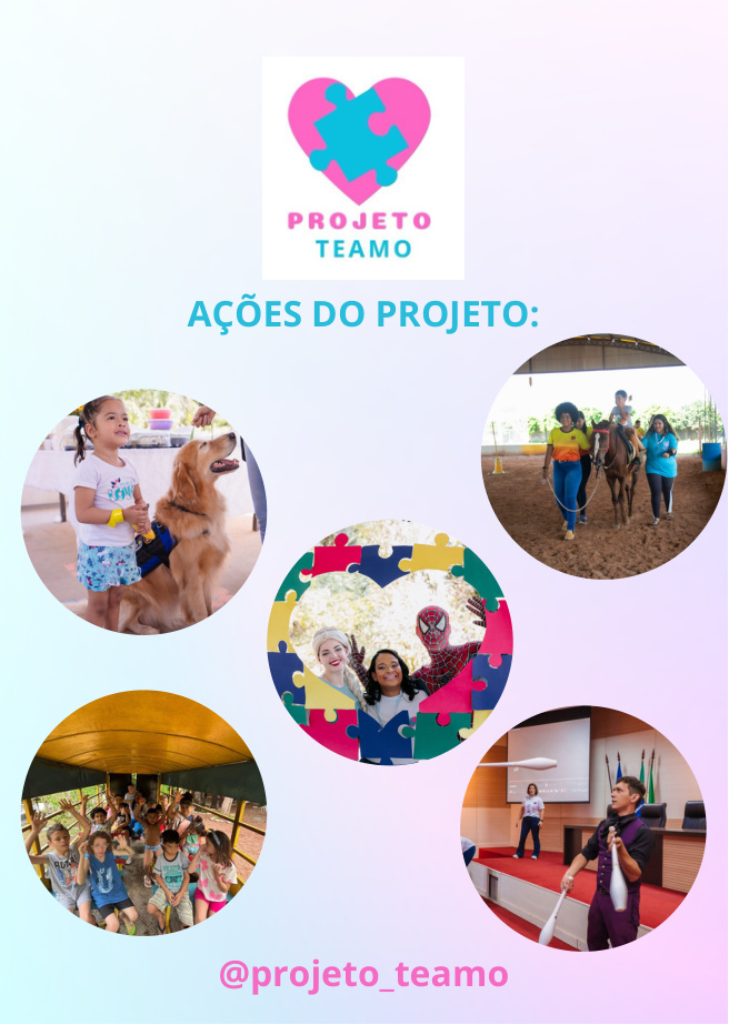 Página 6 da apresentação do Projeto TEAMO